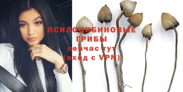 круглые Богданович