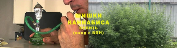 кокс Белокуриха