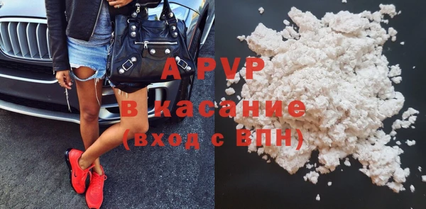 прущие грибы Беломорск