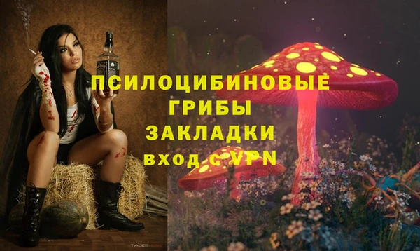 прущие грибы Беломорск