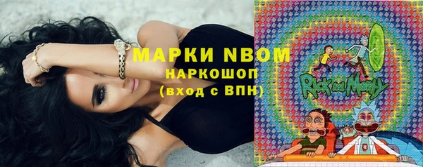 прущие грибы Беломорск