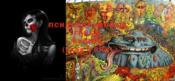 марки nbome Богородицк