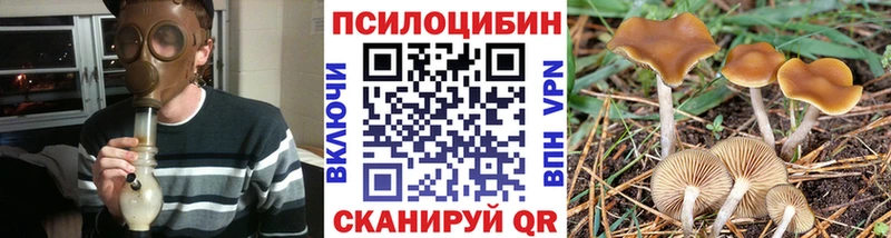 Псилоцибиновые грибы Cubensis  Каневская 